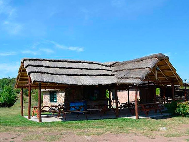 El Viejo Sauce