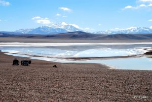reserva Laguna Brava