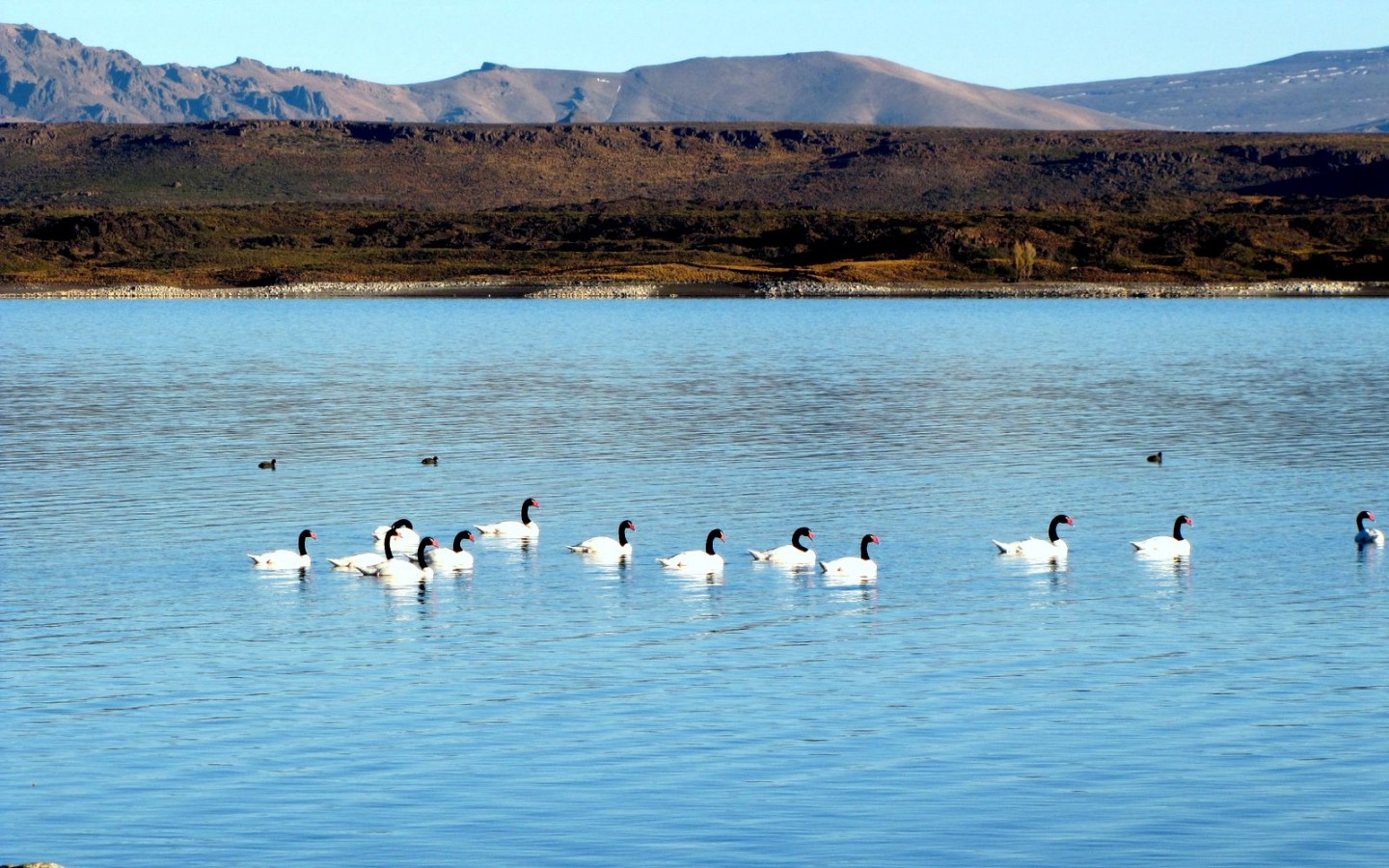Parque nacional Laguna Blanca