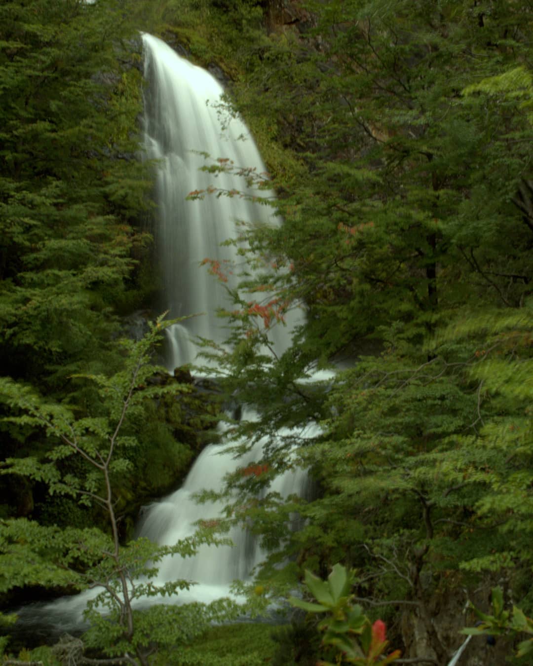 Cascada Velo De Novia Tierra del Fuego Turismo en Tierra del Fuego