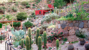 Jardín botánico Chirau Mita