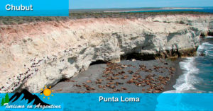 Punta Loma