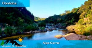 Alpa Corral