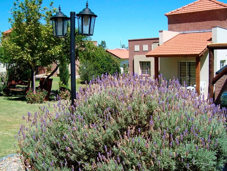 Cabañas Horus
